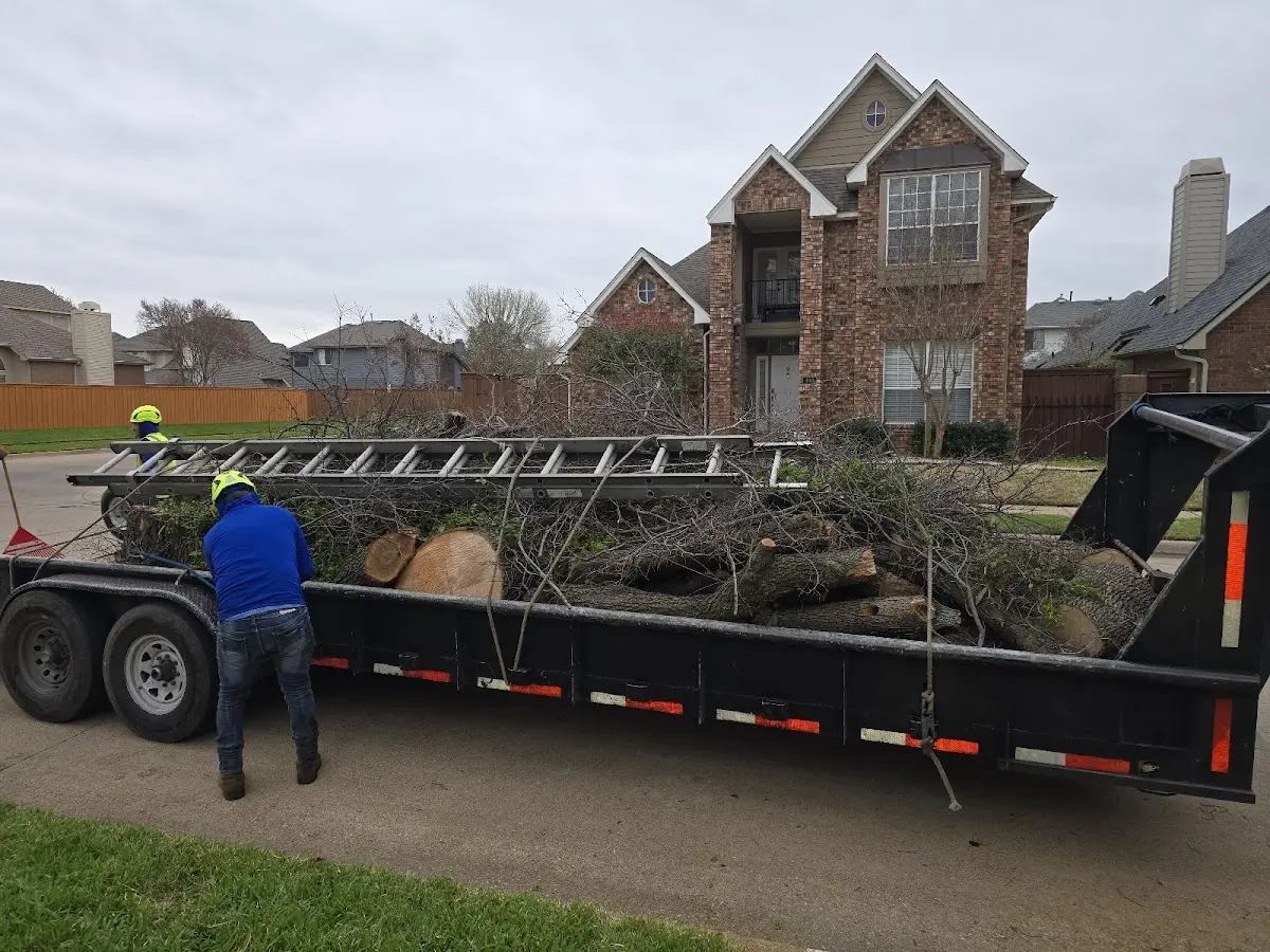Expert Tree Removal with proper safety equipment in Clinton